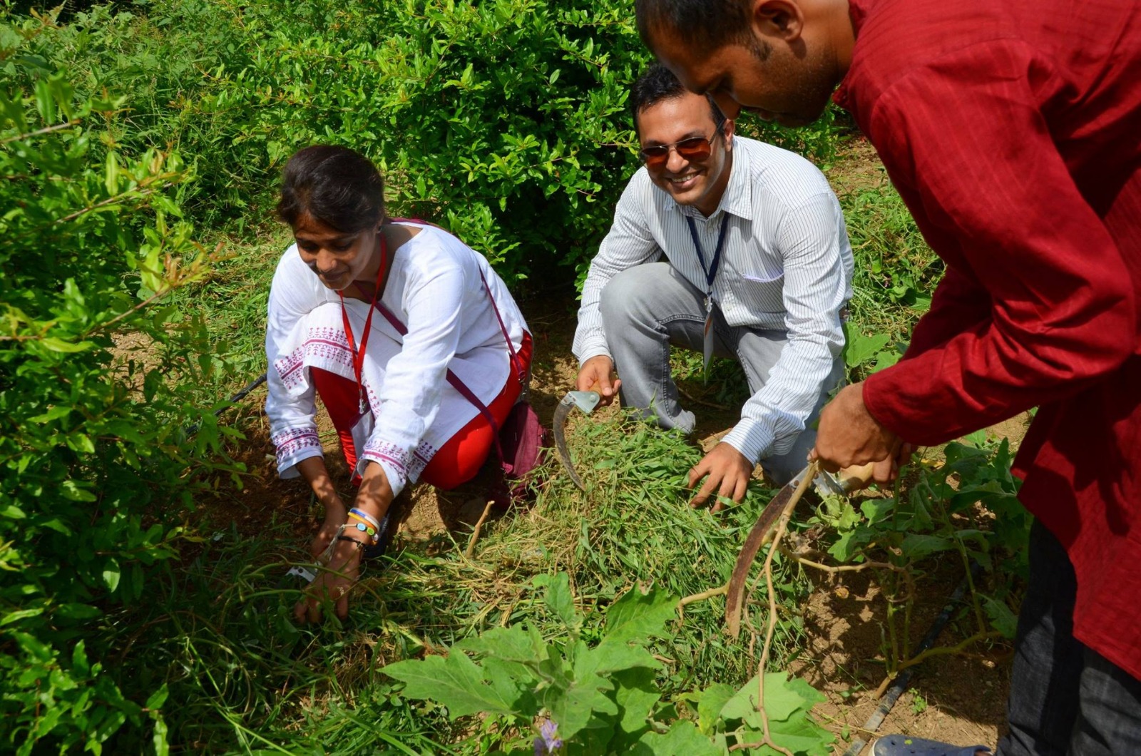 WhatsApp Image 2026-02-18 at 4.46.30 PM (2)